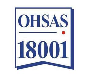 OHSAS18001�J�C����