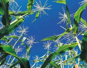 �r�a(ch��n)Ʒ�Gɫ�a(ch��n)Ʒ�J�C